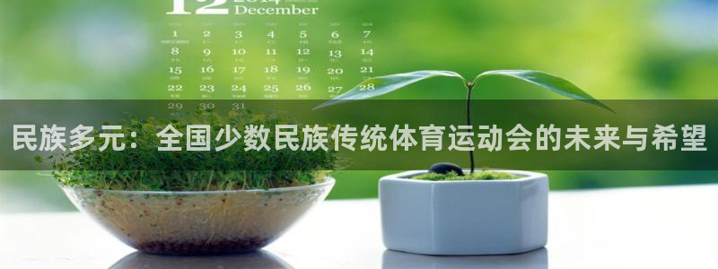 必发官方正版app集团E.ON:民族多元:全国少数民族传统体