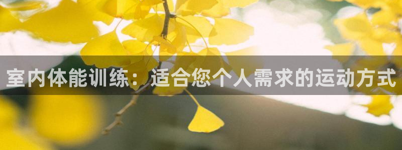 必发官方正版app开户:室内体能训练:适合您个人需求的运动方